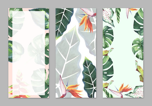 Tropical Hawaii Leaves Palm Tree Theme In A Watercolor Style Isolated.