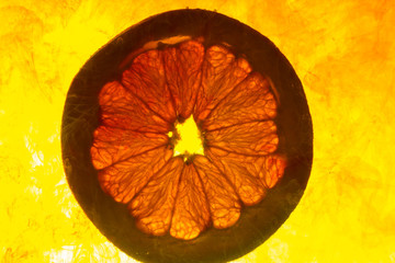 close up of a grapefruit slice in water