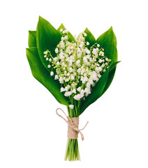 bouquet of white fragrant flowers forest lilies with green leaves isolated on white background