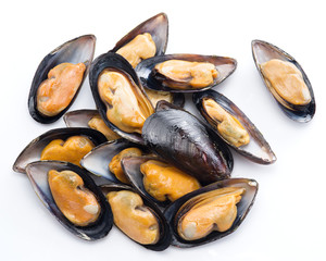 Mussels on a white background.