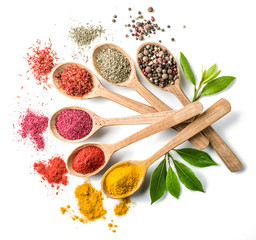 Assortment of colorful spices in the wooden spoons on the white background.