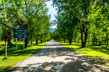 Obraz premium Zielona Droga