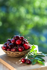 Fototapeta na wymiar cherry, cherrys