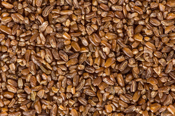 Obraz premium Kamut Khorasan wheat, close-up.