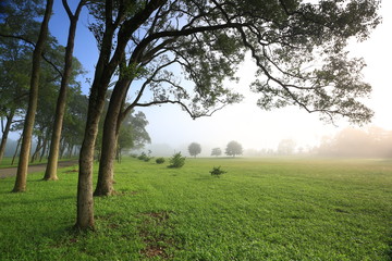 sunny morning,Taiwan