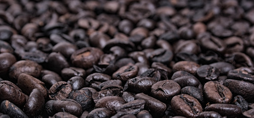 coffea
