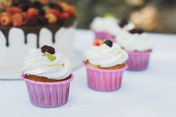 Delicious fruit cake with cupcakes for a happy birthday