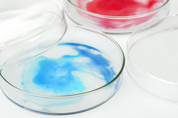  Petri dish