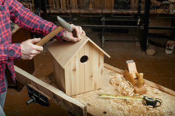 carpenter making wooden nest box