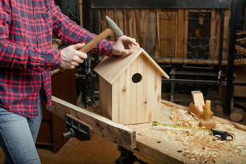 carpenter making wooden nest box