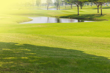 Beautiful golf course summer landscape