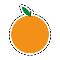 orange fruit icon image vector illustration design 