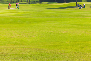 Beautiful golf course summer landscape