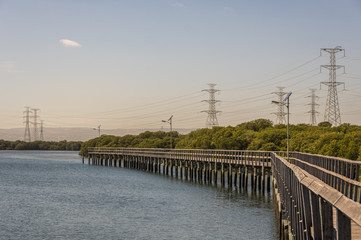 Electricity supply towers and structures transmit power along high voltage wires and cables