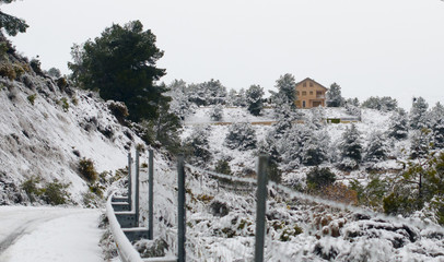 Color entre la nieves