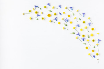 Flowers composition. Frame made of various colorful flowers on white background. Easter, spring, summer concept. Flat lay, top view