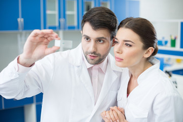 portrait of concentrated scientists looking at microscope slide in lab