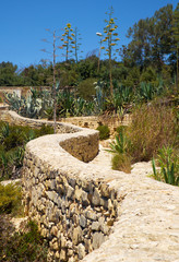 Stone country fence and Agave plants  on south coast of Malta
