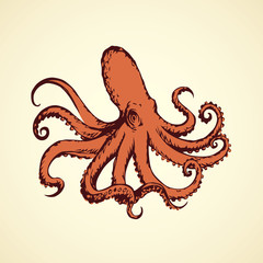  Octopus. Vector drawing