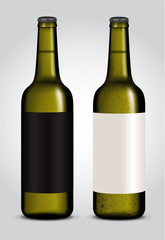 blank label on glass beer bottle for new design
