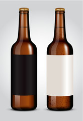 blank label on glass beer bottle for new design