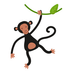 Macaque monkey rare animal vector.