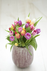 Tulpen