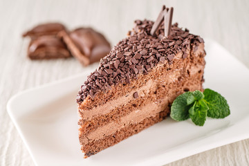 chocolate or coffee cream cake on white plate with mint leaf, gluten free cake, product photography for patisserie