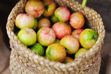 Fresh Malpighiaceae fruit or cherry in burlap sack