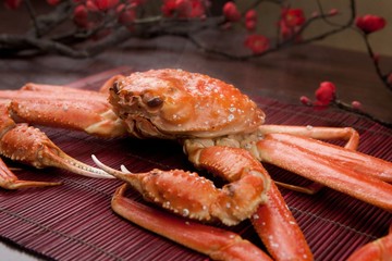 snow crab