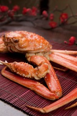 snow crab