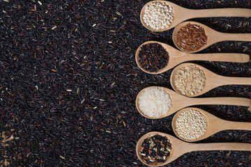 Top view different rice in wooden spoon witn Rice berries background