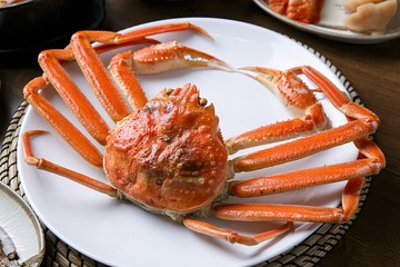 snow crab