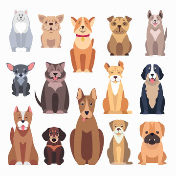 Different Kinds of Dog Breeds on White Background