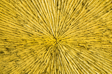 Obraz premium Gold tile background