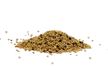 quinoa isolated