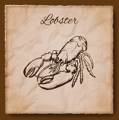 Seafood vintage illustration. Template for menu or brochure with lobster. Vector illustration