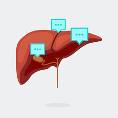 Liver vector illustration