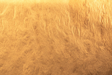 Blank brown paper sheet