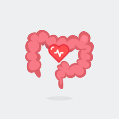 Large intestine vector illustration