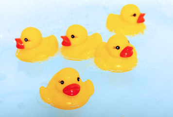 rubber ducks in blue water