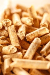 Wooden pellets on paper