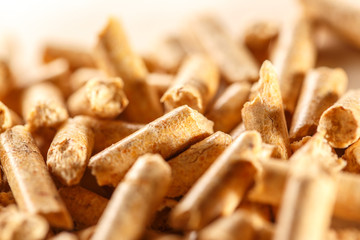 Wooden pellets on paper