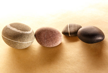 Set of sea stones
