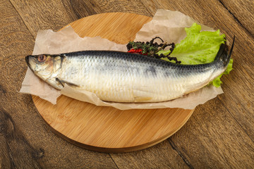 Herring fish