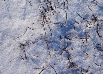 Snow winter. Texture of snow. 