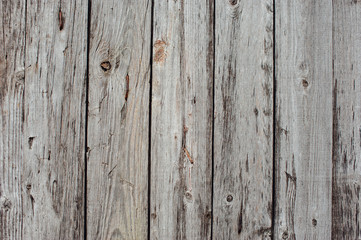 Texture of an old tree on a fence