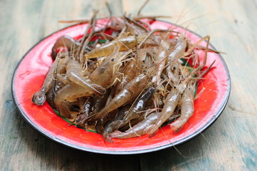 Fresh raw vannamei shrimp