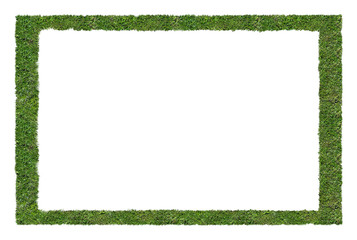 green grass frame isolated on white