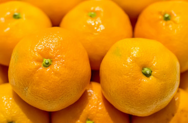 Close-up mandarin